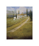 Tuscany Vineyard Giclee Print by Hawley 