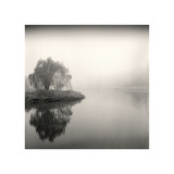 Tree, Study, no. 9 Giclee Print by Andrew Ren