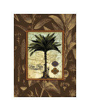 Date Palm Giclee Print by Karl Rattner