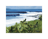 Coconuts Giclee Print by S. Reich