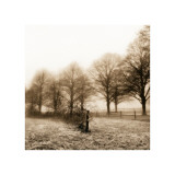Fence Row and Trees Giclée-Druck von Harold Silverman