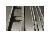 Golden Gate Bridge and Cables Giclee Print by Christian Peacock