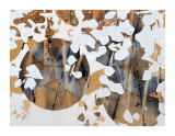 Wing Lámina giclée por Nina Tichava
