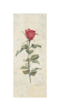 True Love Giclee Print by Telander 