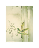 Vizcaya Ferns II Giclee Print by Muriel Verger