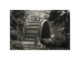 Moon Bridge in Tea Garden Giclée-tryk af Christian Peacock Moon Bridge in Tea Garden Giclée-tryk af Christian Peacock
