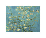 Blühende Mandelbaumzweige, San Remy, ca. 1890 Giclée-Druck von Vincent van Gogh