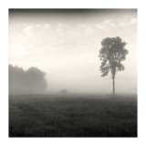 Tree, Study, no. 2 Lámina giclée por Andrew Ren Tree, Study, no. 2 Lámina giclée por Andrew Ren