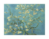 Almendro con flores, San Remy (Almond Branches in Bloom, San Remy, ca.1890) Lámina giclée por Vincent van Gogh Almendro con flores, San Remy (Almond Branches in Bloom, San Remy, ca.1890) Lámina giclée por Vincent van Gogh