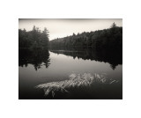Misty Morning Giclee Print by Andrew Ren