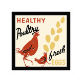 Healthy Poultry-Fresh Eggs Giclee Print