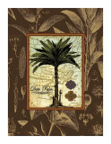 Date Palm Giclee Print by Karl Rattner