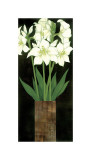 Perfect White Lilies reproduction procédé giclée par R. Rafferty