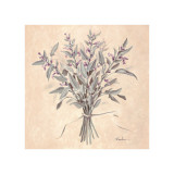 Scent of Sage Giclee Print by Telander 