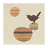 Fly on the Wall Lámina giclée por Ruppel