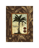 Banana Palm Giclee Print by Karl Rattner
