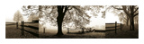 Frosted View Giclee Print by Harold Silverman