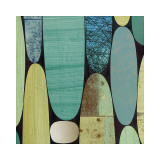 Agua Fria (detail) Giclee Print by Rex Ray