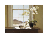Orchids with Teapots Impressão giclée por Zhen-Huan Lu