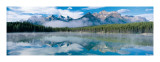 Beneath Shining Skies Giclee Print by Art Wolfe