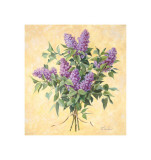 Lilac Season II Giclee Print by Telander 