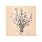 Scent of Thyme Giclee Print by Telander 