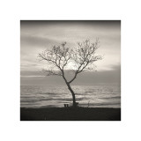 Tree, Study, no. 5 reproduction procédé giclée par Andrew Ren