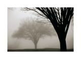Memories of Winter Lámina giclée por David Winston