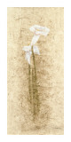 Calla Lilies Giclee Print by B. J. Zhang Calla Lilies Giclee Print by B. J. Zhang