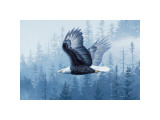 Spirit of the Forest Giclee Print by Telander 