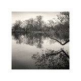 Rideau River, Study, no. 1 Giclee Print by Andrew Ren