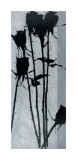 Scent of Desire Giclee Print by B. J. Zhang