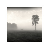 Tree, Study, no. 2 Giclee Print by Andrew Ren