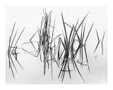 Lake of Two Rivers Lámina giclée por Andrew Ren Lake of Two Rivers Lámina giclée por Andrew Ren