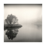 Tree, Study, no. 9 Lámina giclée por Andrew Ren Tree, Study, no. 9 Lámina giclée por Andrew Ren