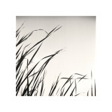 Beaver Pond, Study, no. 1 Giclee Print by Andrew Ren