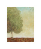 Beautiful Day I Giclee Print by John Zaccheo