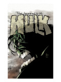 Incredible Hulk 65 Cover: Hulk Kunst von Mike Deodato Jr.