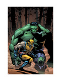 Incredible Hulk #80 Cover: Wolverine and Hulk Láminas por Lee Weeks Incredible Hulk #80 Cover: Wolverine and Hulk Láminas por Lee Weeks