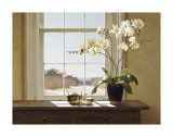 Orchids with Teapots Giclee Print by Zhen-Huan Lu