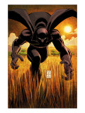 Black Panther 1 Cover: Black Panther Poster von Romita Jr. John