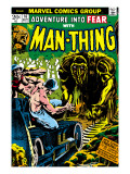 Man-Thing 16 Cover: Man-Thing Prints by Mayerik Val