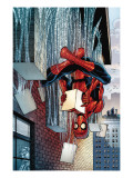 Amazing Spider-Man Family 3 Cover: Spider-Man Affiches par Olliffe Pat