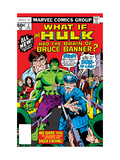 What If 2 Cover: Hulk, Thunderbolt Ross, Banner and Bruce Affiches par Herb Trimpe
