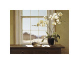 Orchids with Teapots Giclee Print by Zhen-Huan Lu