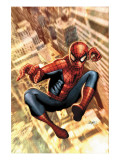 The Amazing Spider-Man 549 Cover: Spider-Man Posters by Salvador Larroca