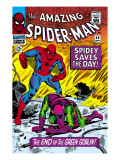 Dark Reign: The Goblin Legacy One-Shot Cover: Spider-Man Fighting Affiche par John Romita Sr.