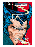 Wolverine 6: Wolverine and Logan Charging Prints by Todd McFarlane
