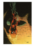 Marvel Adventures Spider-Man 57 Cover: Spider-Man Prints by Skottie Young