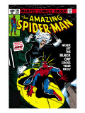 Amazing Spider-Man 194 Cover: Spider-Man and Black Cat Art by Milgrom Al